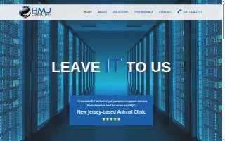 HMJ CONSULTING, LLC website