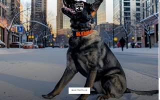 Supreme K9 Dog Training & Advocacy of Newark