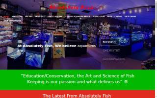 Absolutely Fish