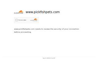PicKFish Pets