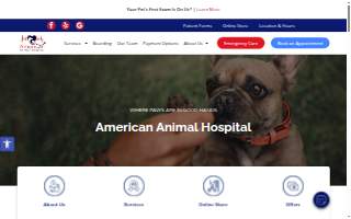 American Animal Hospital