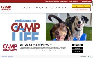 Camp Bow Wow Rockaway of Dover
