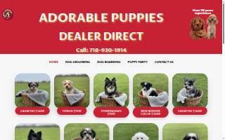 Puppy Paradise of East Windsor
