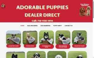 Puppy Paradise of East Windsor website
