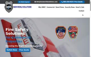 New World Solutions