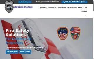 New World Solutions website