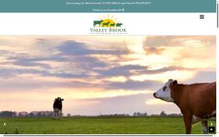 Valley Brook Veterinary Hospital