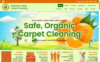 Delaware Valley Carpet Cleaning website