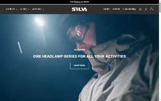 Silva Financial Services website