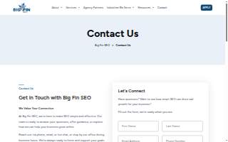 Big Fin SEO