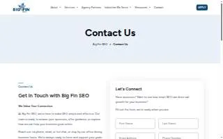 Big Fin SEO of Hamilton website