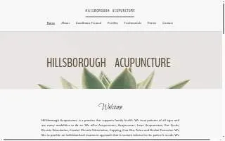 Hillsborough Acupuncture website