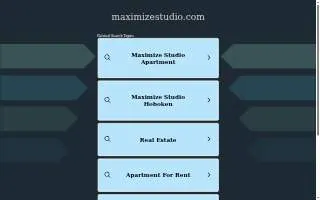 Maximize Studio | Website Design & Digital marketing Agency website