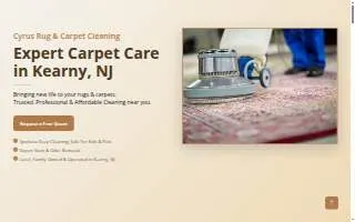 Cyrus Rug & Carpet Cleaning website