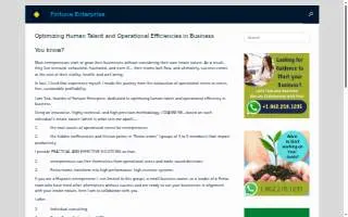 Fortuna Enterprise website