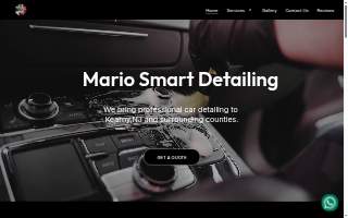 Mario Smart Detailing