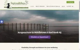 Bamboo Wellness, LLC website