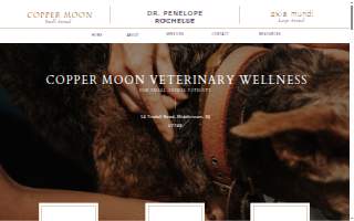 Copper Moon Veterinary Wellness