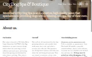 City Dog Spa & Boutique
