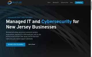 Qualia Computers website