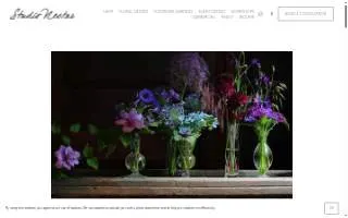 Studio Nectar website