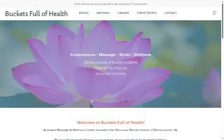 Buckets Full of Health website