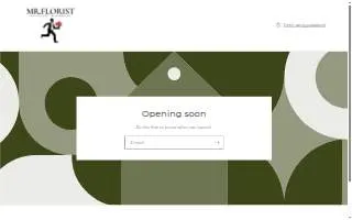 Mr. Florist Newark website