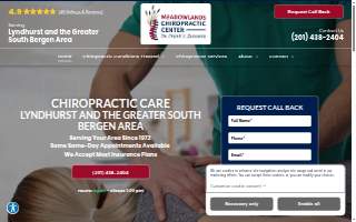 Meadowlands Chiropractic Center P. A.