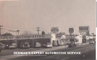 Expert Automotive