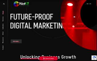 NetLZ Consulting | SEO | AI SEO | PPC | Web Design & Development