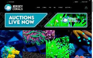 Jersey Corals website