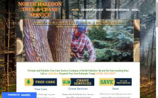 North Haledon Tree Service