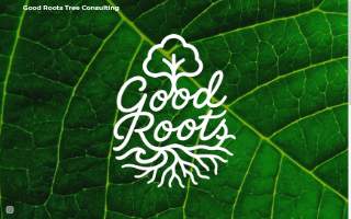 G&R Tree Removal Service, Tree Trimming, & More