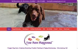 Four Paws Playground-- Doggie Daycare, Crateless Boarding, Puppy Wednesday and Training website