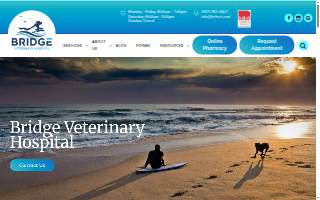 Bridge Veterinary Hospital