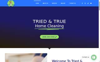 Tried & True Home Cleaning