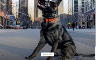 Supreme K9 Dog Training & Advocacy