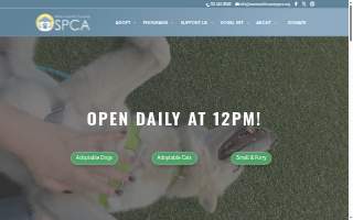 Monmouth County SPCA of Tinton Falls