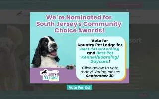 Country Pet Lodge of Voorhees website