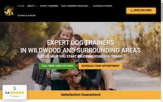 Positive Response Dog Training of Voorhees website