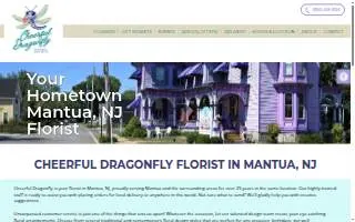 Cheerful Dragonfly website
