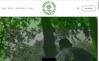 Avery Tree Experts LLC