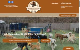 Unleashed Dog Solutions