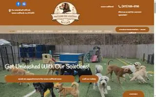 Unleashed Dog Solutions of West Milford website