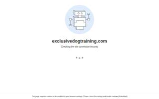Exclusive Dog Training