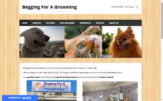 Begging For A Grooming