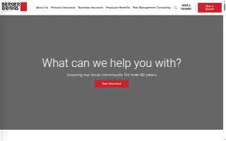 Berger Briggs Insurance & Risk Solutions website