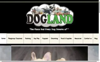Dogland of Albuquerque website