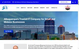 LDD Consulting, Inc.