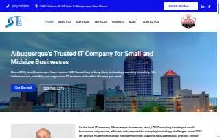 LDD Consulting, Inc. website